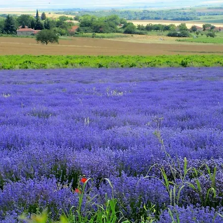 Lavender * Rupkite